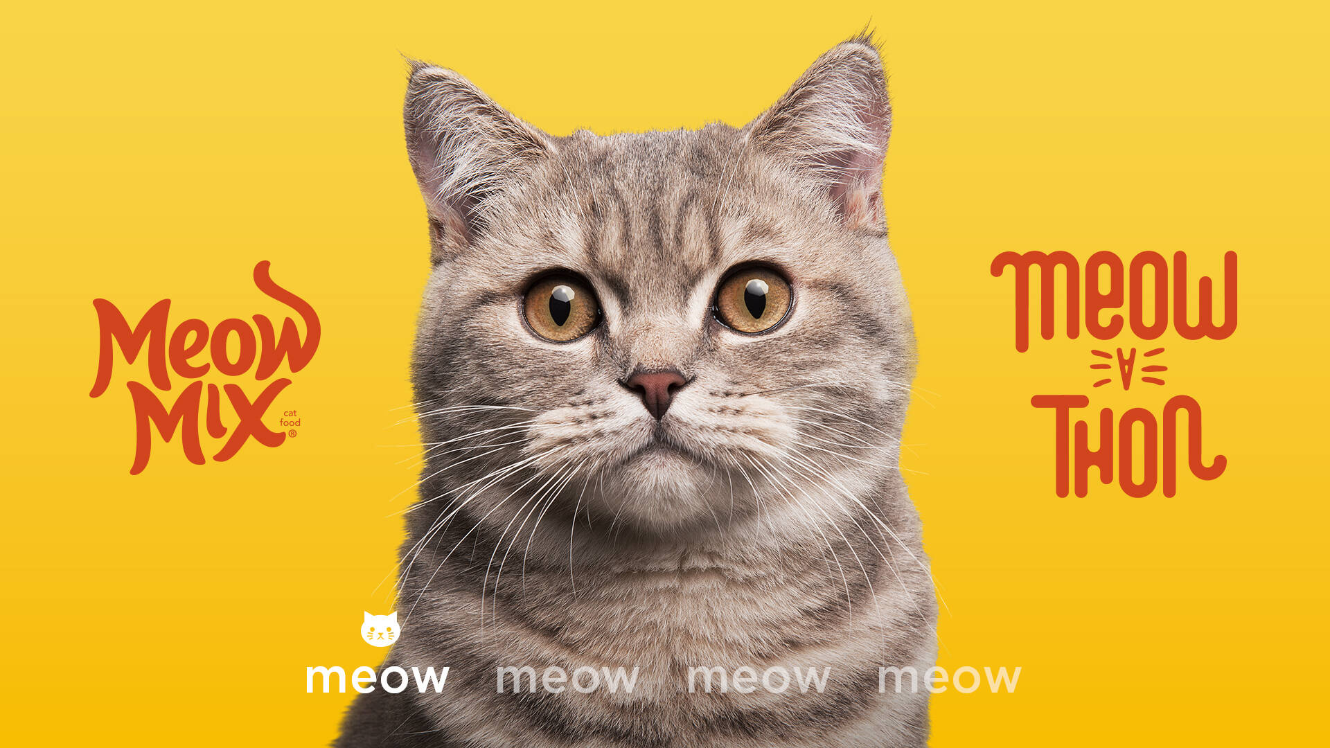 Meow Mix Meow a Thon Ads of the World Part of The Clio Network