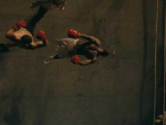 Prize Fighter