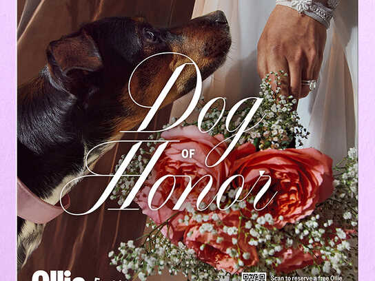 Til death do us bark! 