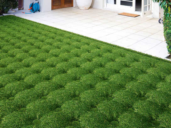 See the World Differently, Grass