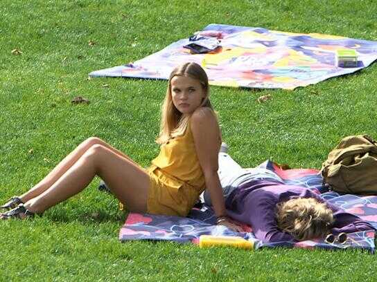 The picnic blanket billboard