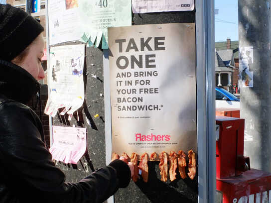 Bacon Take One