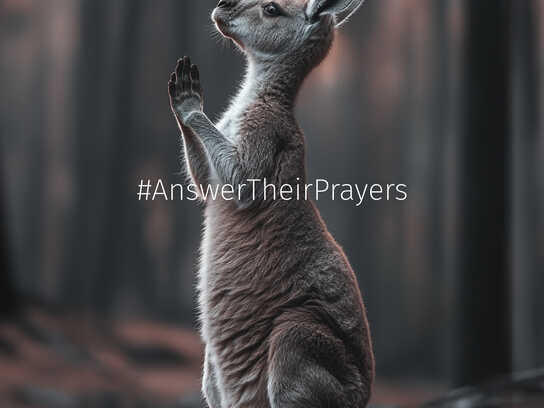 #AnswerTheirPrayers 