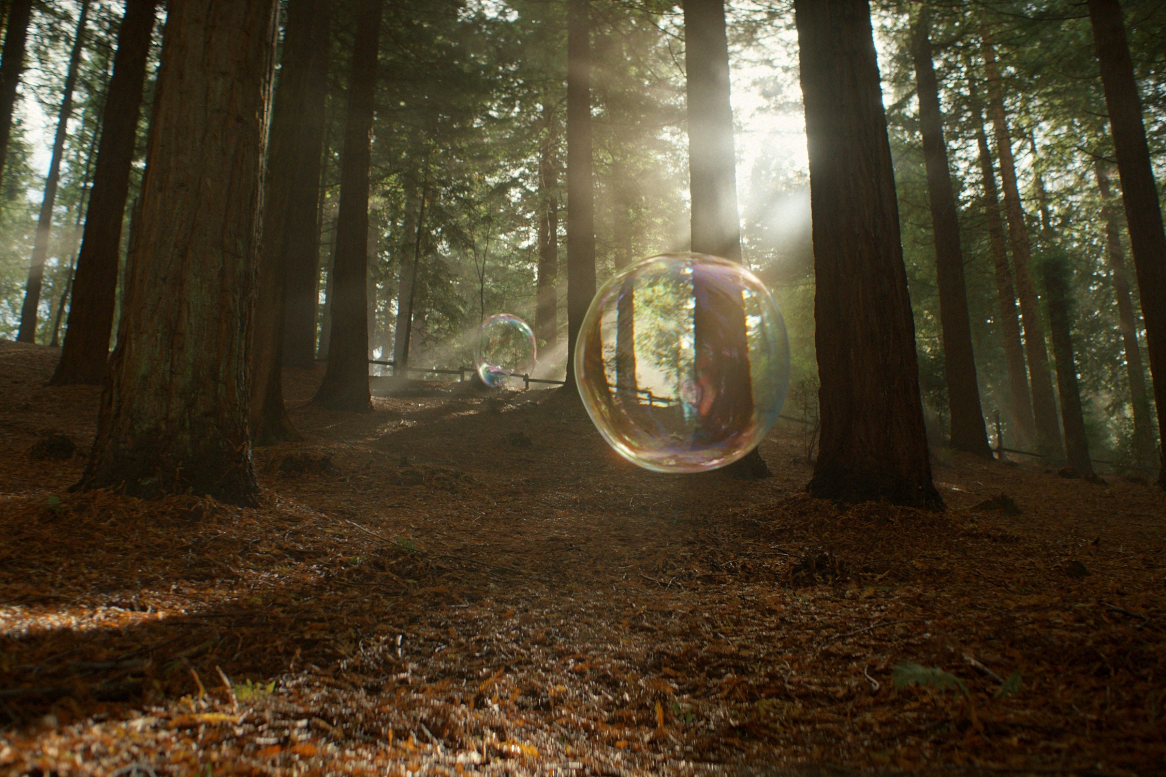 For the center of your world Image