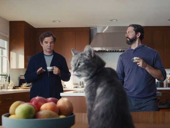 What Really Happened Replay - Cat