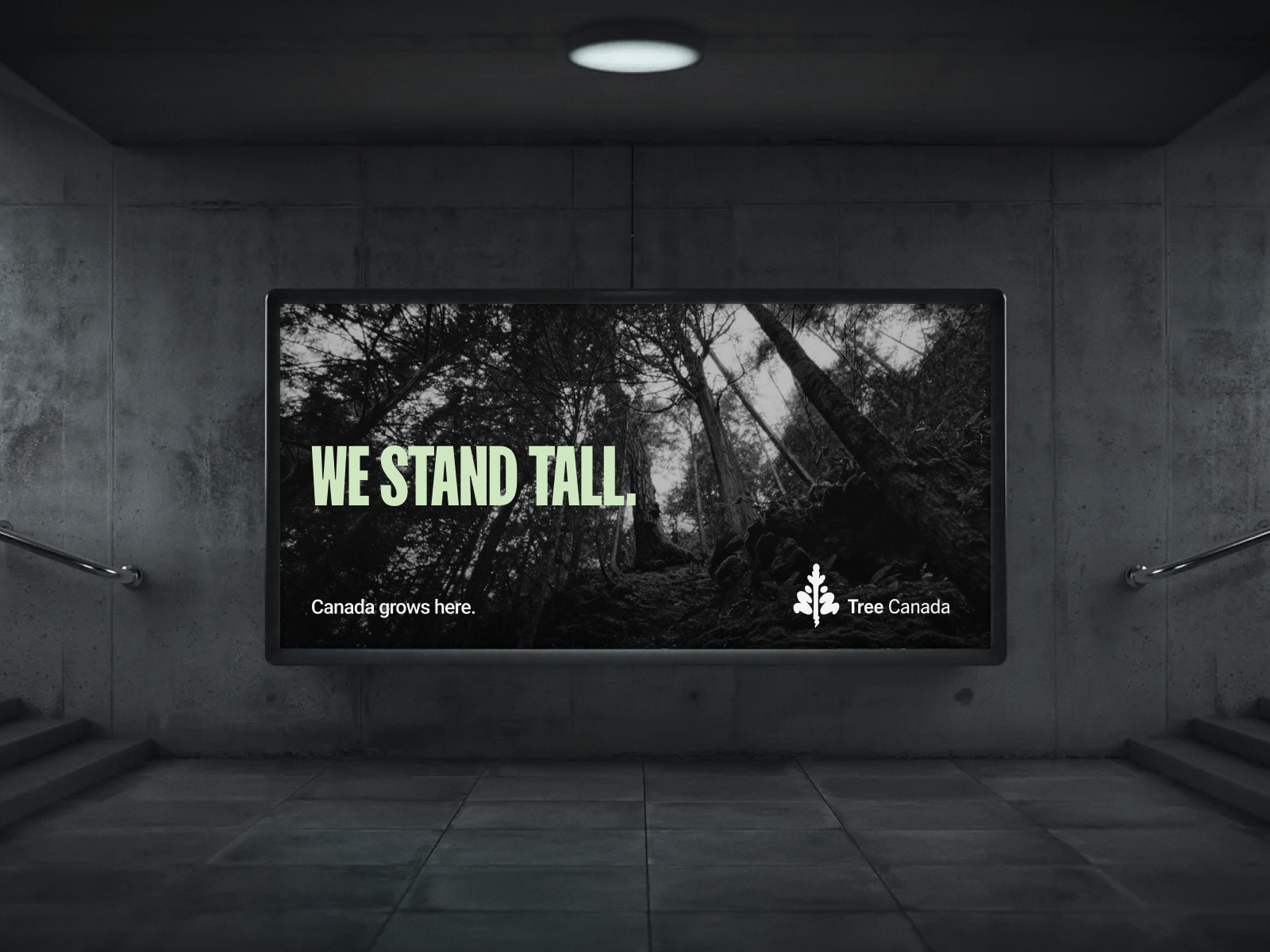 Tree Canada campaign visual 1