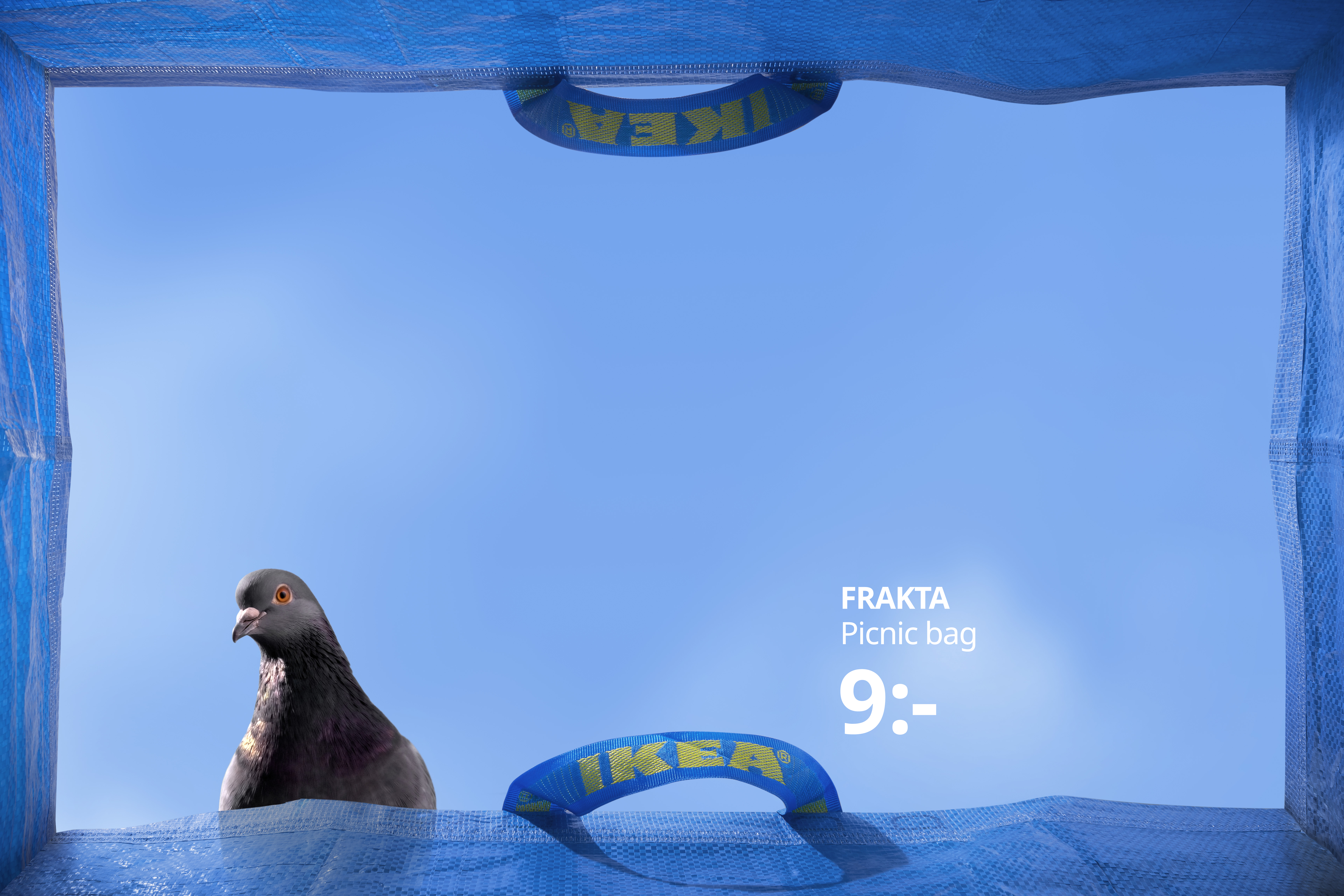 FRAKTA Point Of You Image