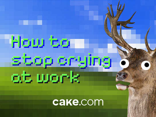 Everything you need is in the bundle