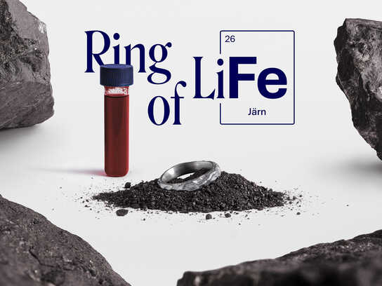 Ring of LiFe