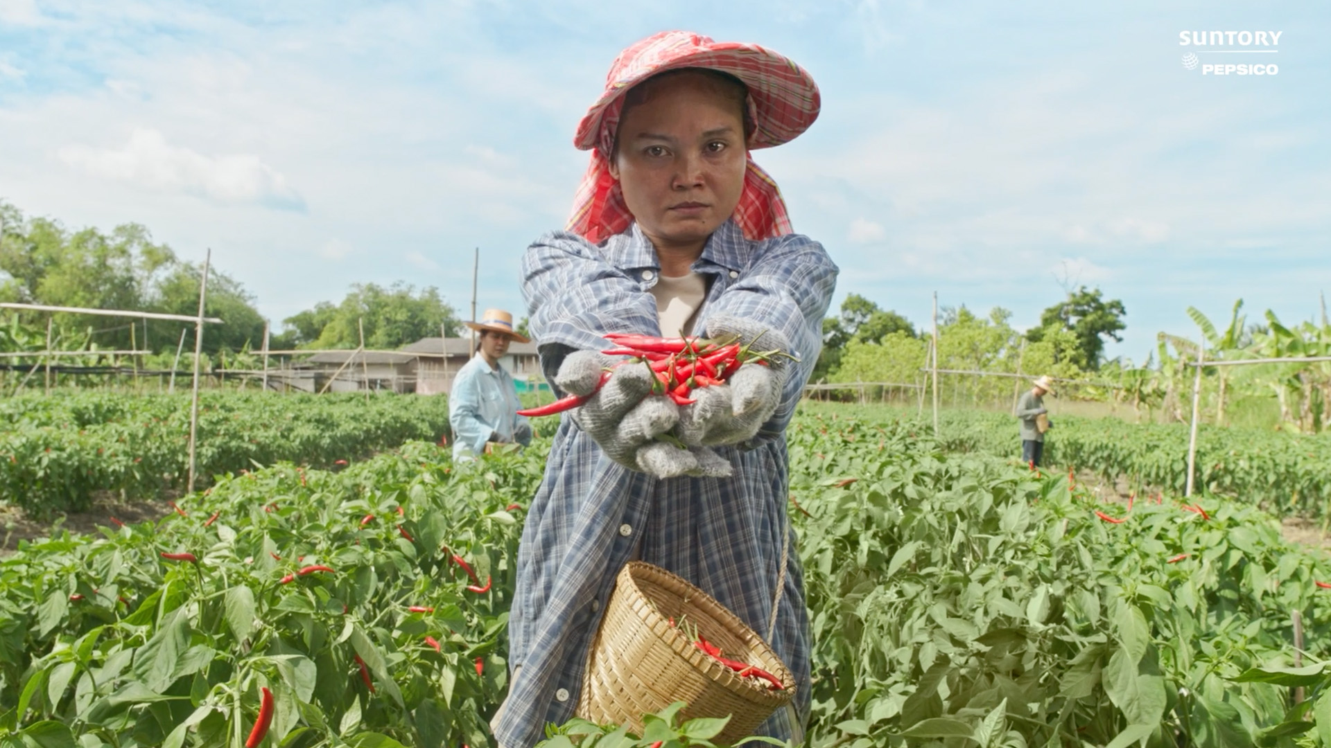 It Must Be STING Image