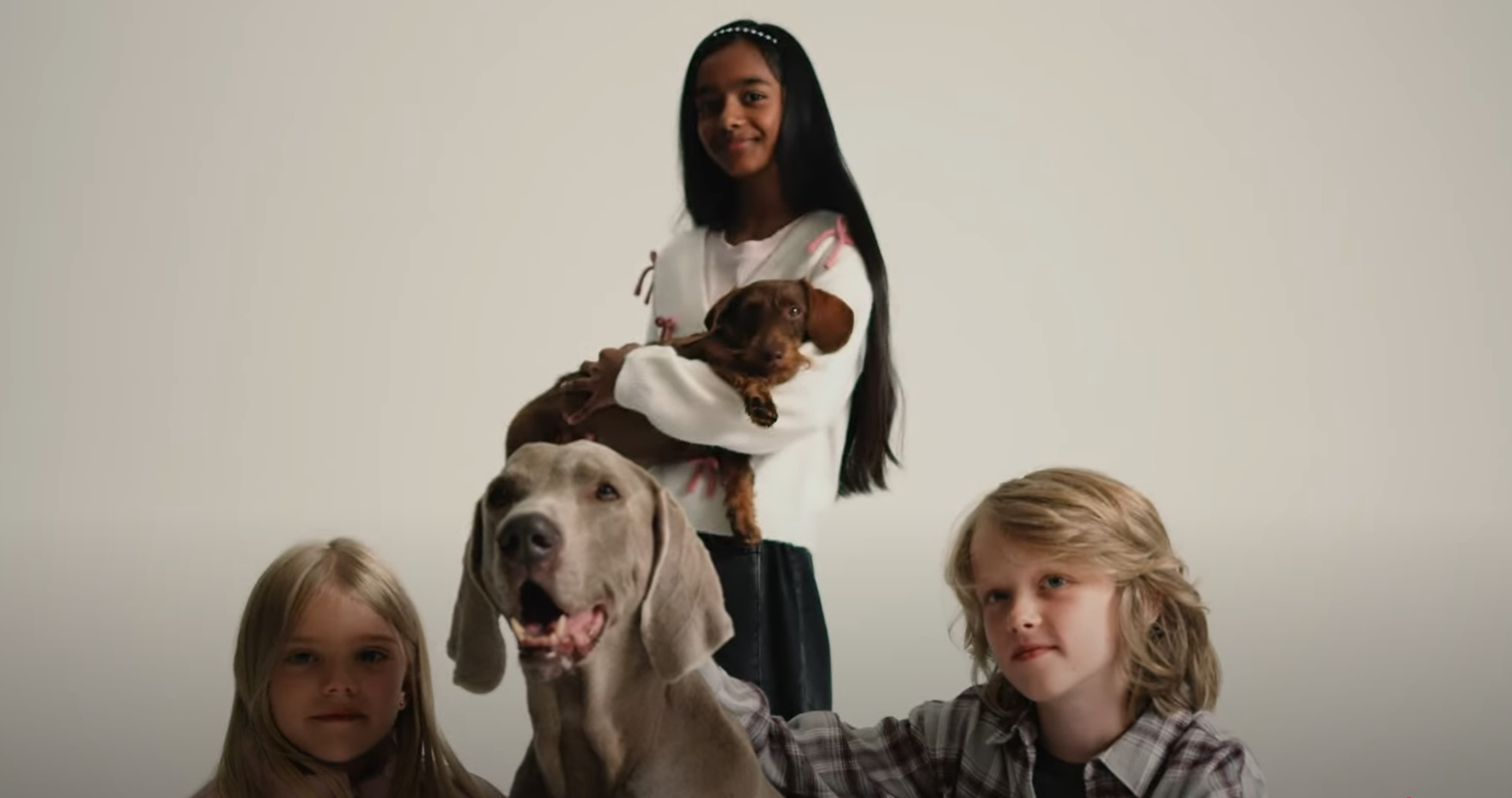 The Denim & Friends Image