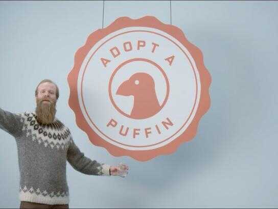 Adopt A Puffin!