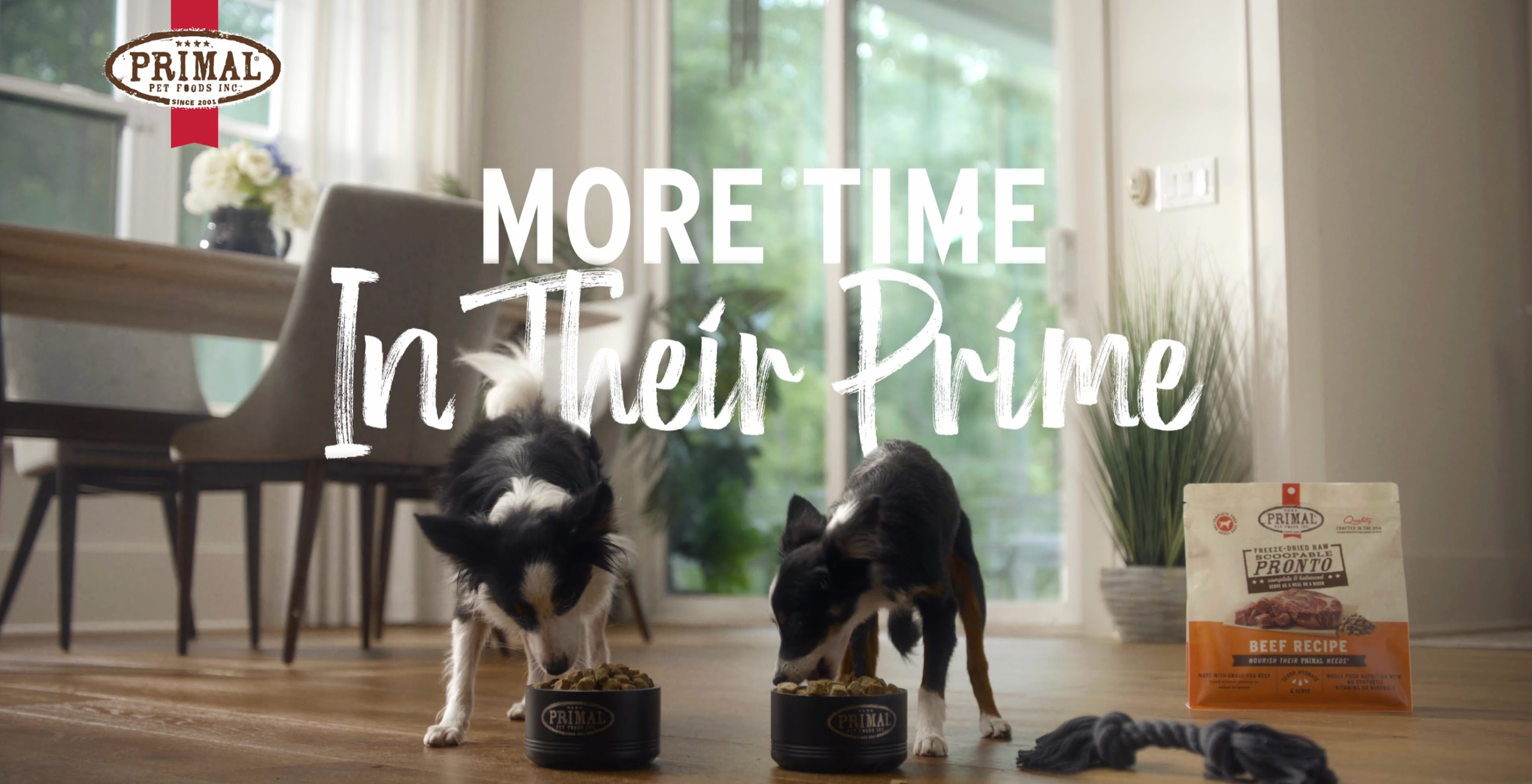 “More Time In Their Prime” Image