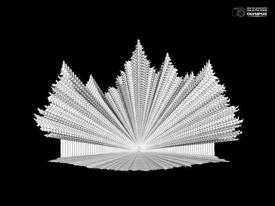 Bigfoot, Climber, Kangaroo