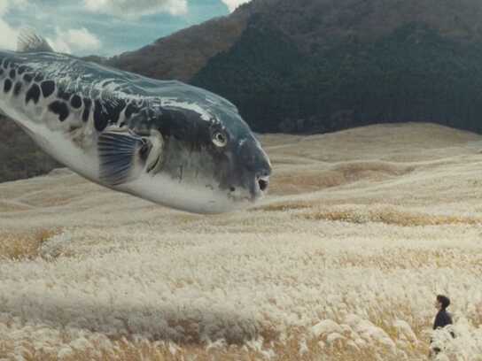 Prepare for Fugu