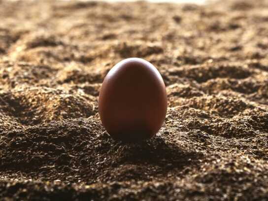 And Then Came The Egg