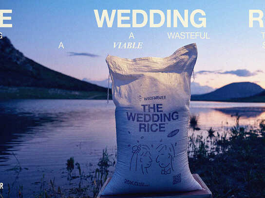 The Wedding Rice (case study)