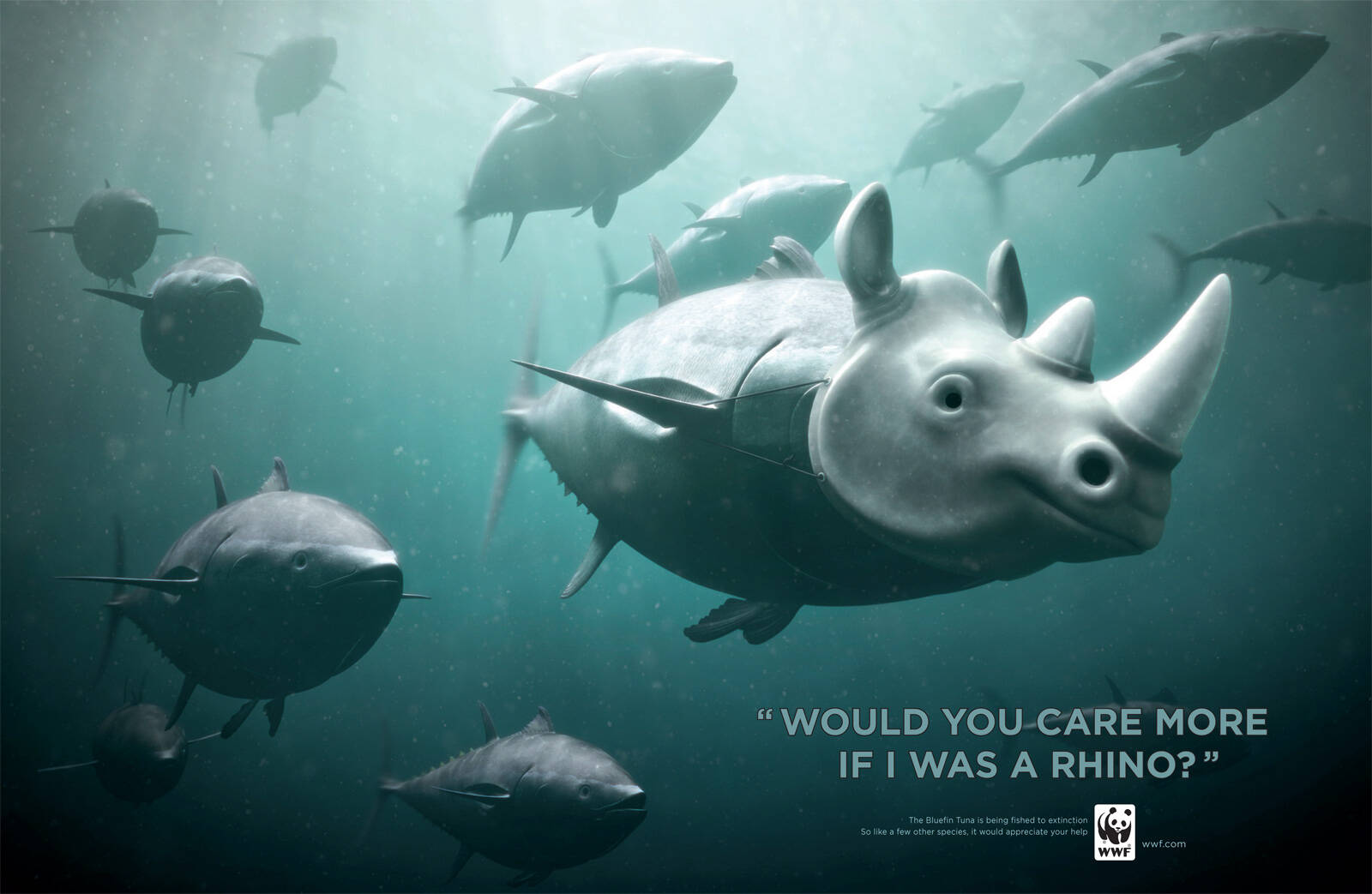 Wwf Rhino Panda Gorilla • Ads Of The World™ Part Of The Clio Network