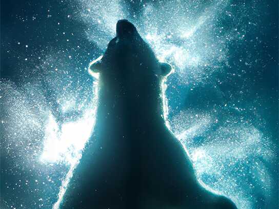 Polar Countdown