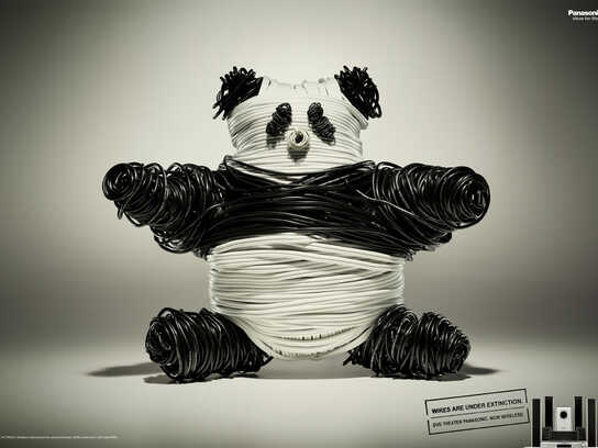 Panda bear