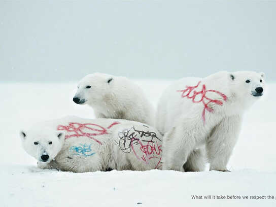 Biodiversity And Biosafety Awareness, Polar bear, Biodive...