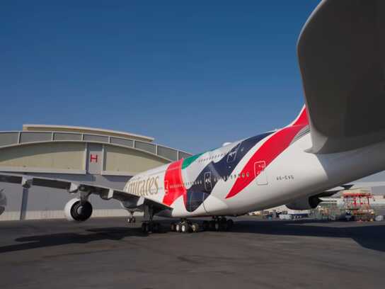  Biggest UAE Flags in the Sky?