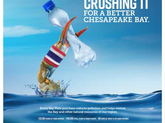 Chesapeake Bay Plate