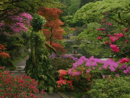 Mother Nature’s City