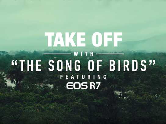 Take Off With The Song Of Birds Featuring EOS R7