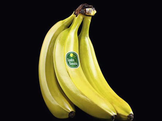 Banana