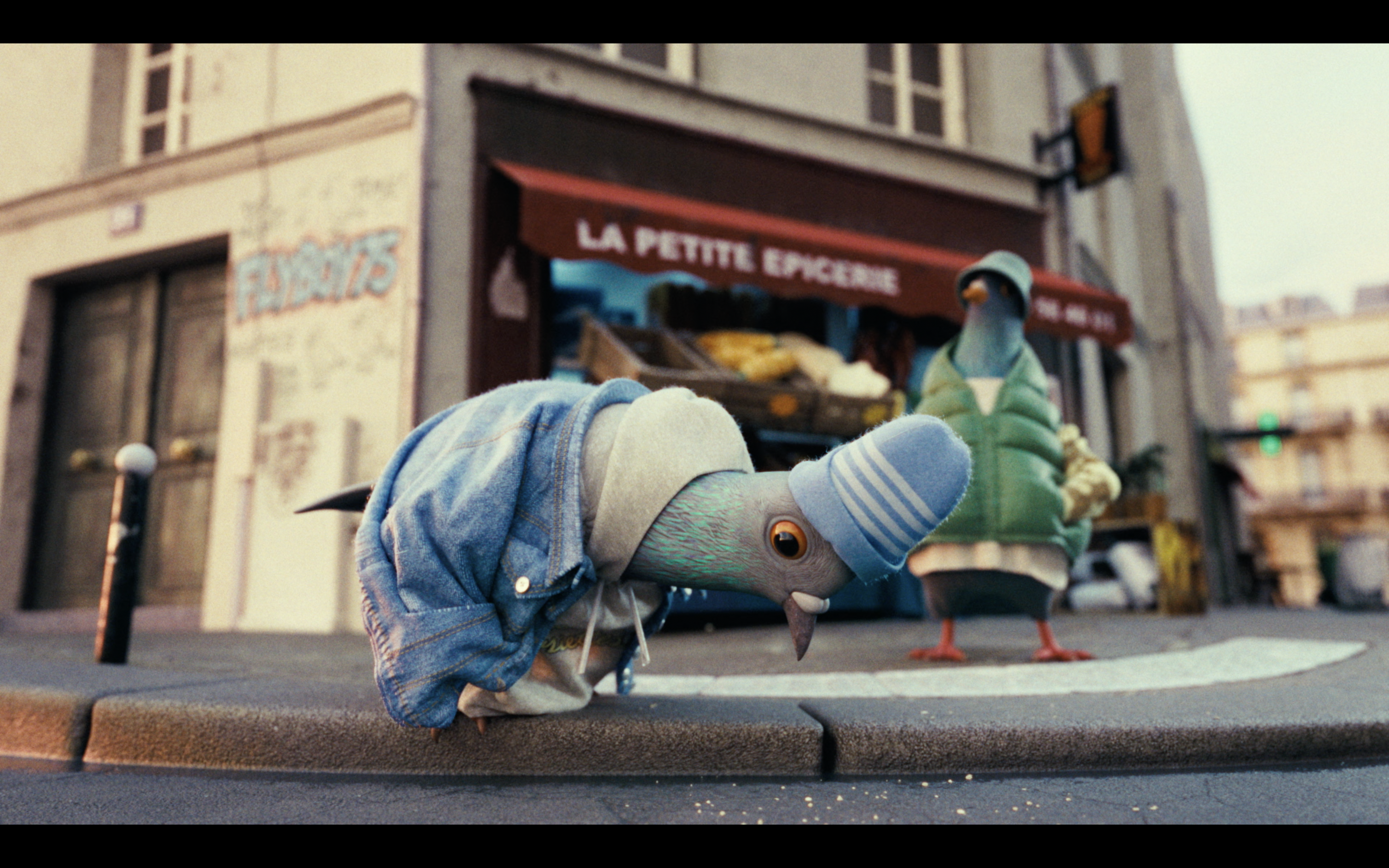 Pigeons not Pigeons Image