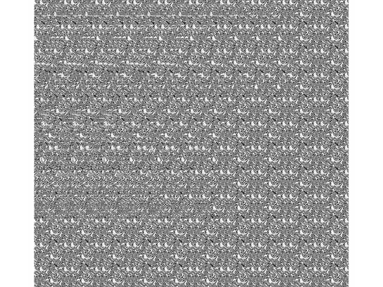 Sumatran tiger, Hummingbird, Sea turtle, Polar bear, Blue...