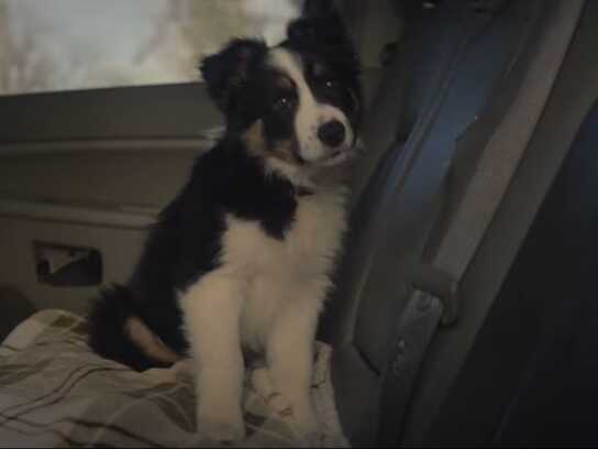 Jeep Grand Cherokee 4xe | “Dents”