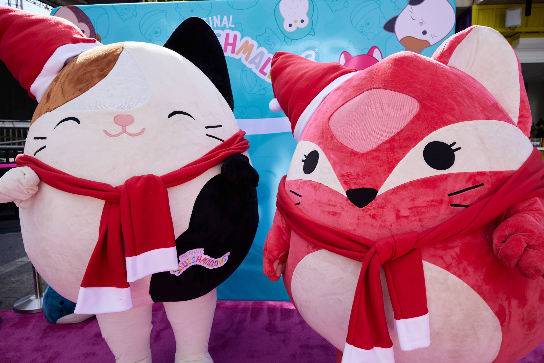 Squishmallows Squish Tour • Ads of the World™ Part of The Clio Network