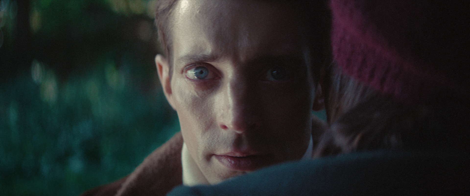 Films for Every Taste Image