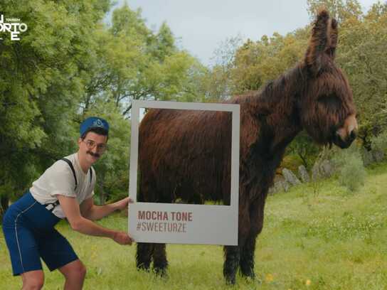 The Big Trend by Ofelia de Souza