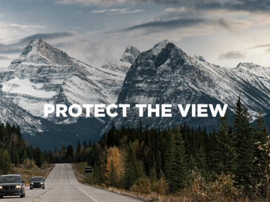 Protect the View
