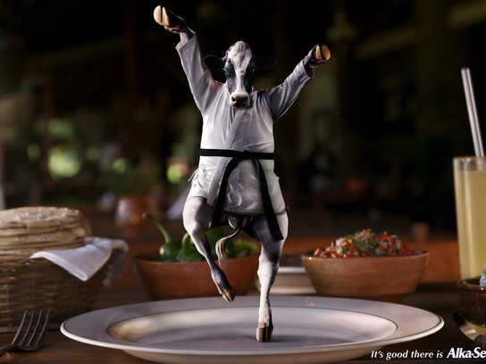 Karate cow