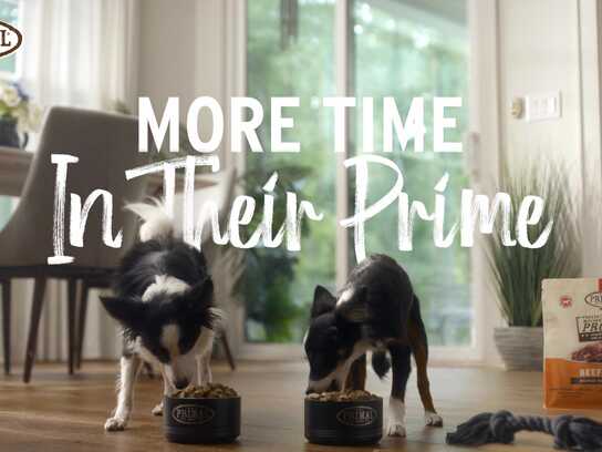 “More Time In Their Prime”