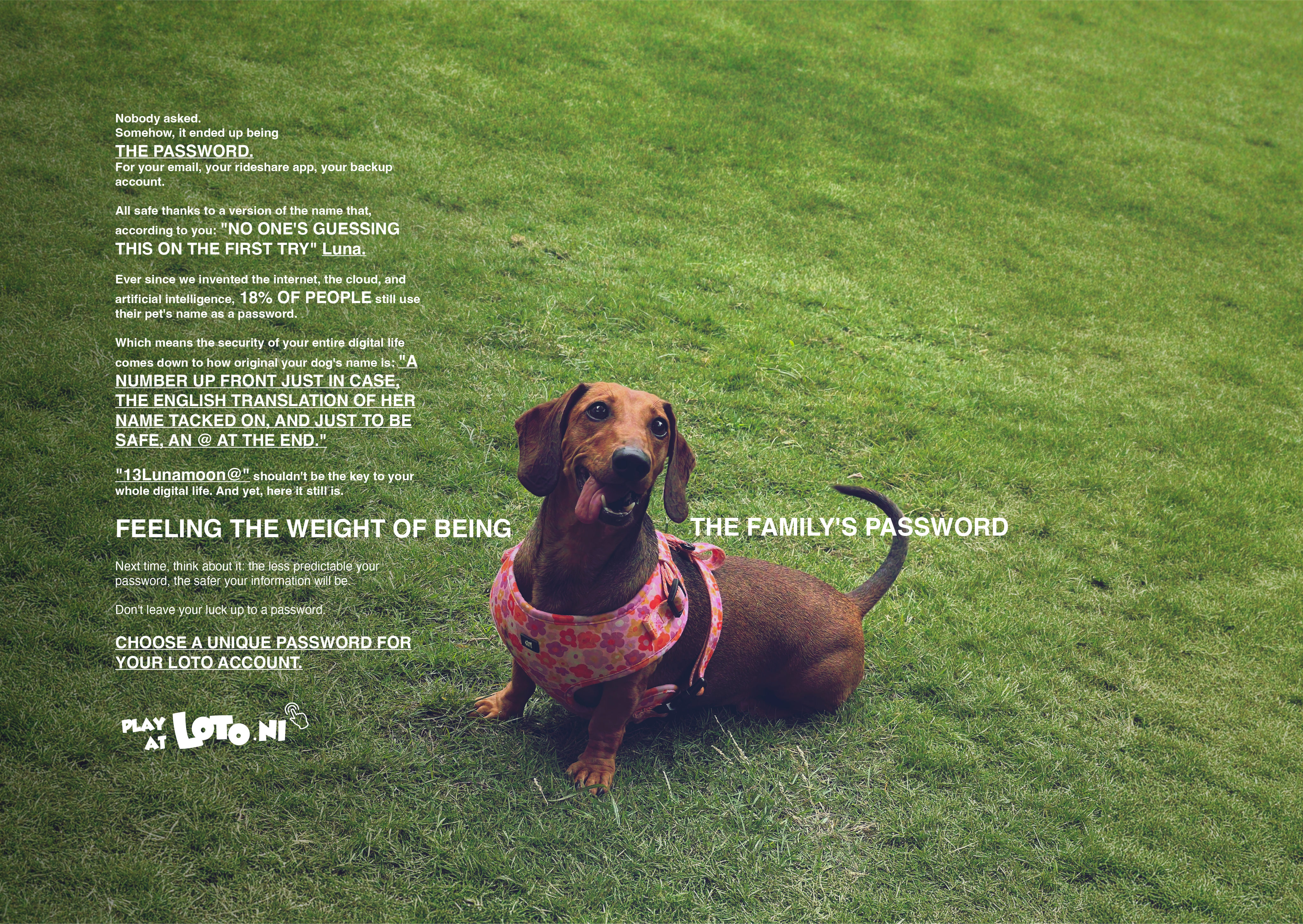 PetPasswords Image