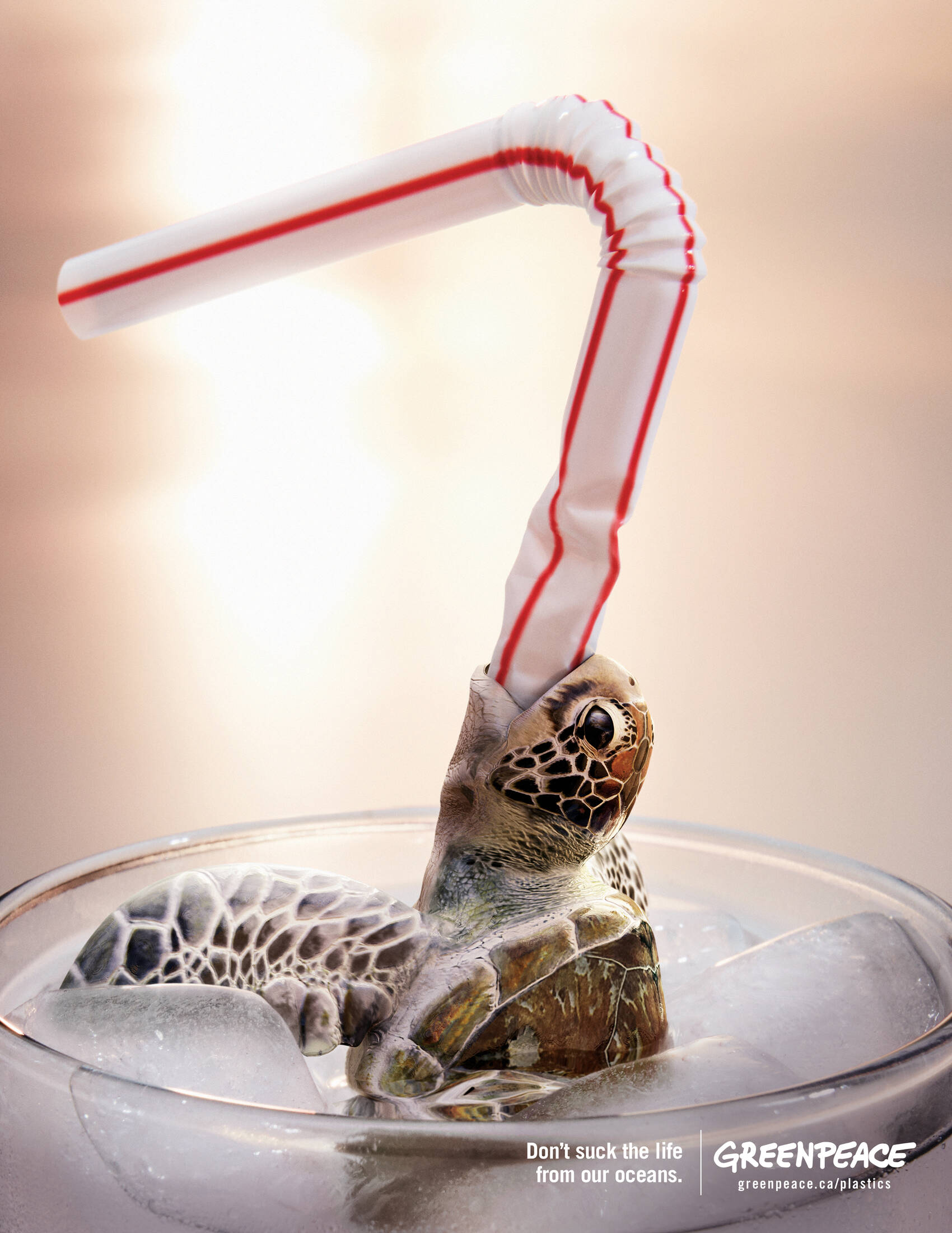 Greenpeace: Straws Suck: Fish, Straws Suck: Gull, Straws Suck: Turtle • Ads  of the World™