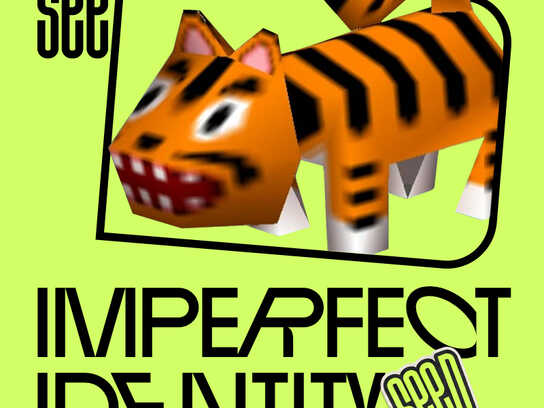 Imperfect Identity