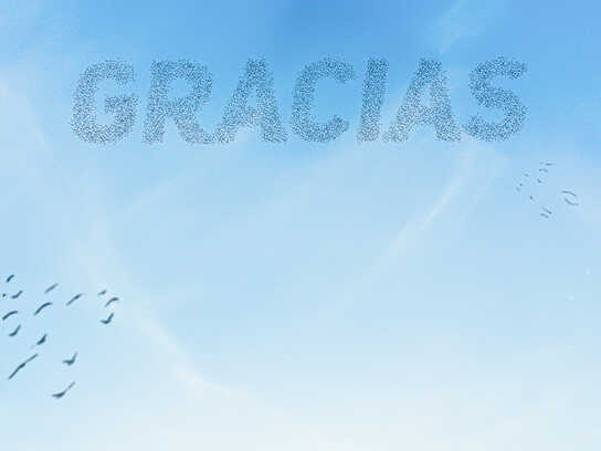 Gracias (Thank You)