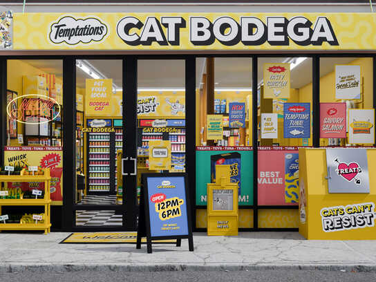 Cat Bodega