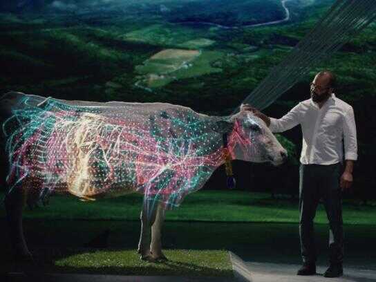 Magic with Chitale Dairy, Magic with Columbia Sportswear,...