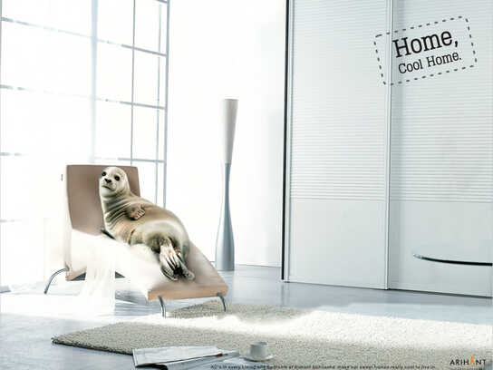 Seal, Polar bears, Penguin