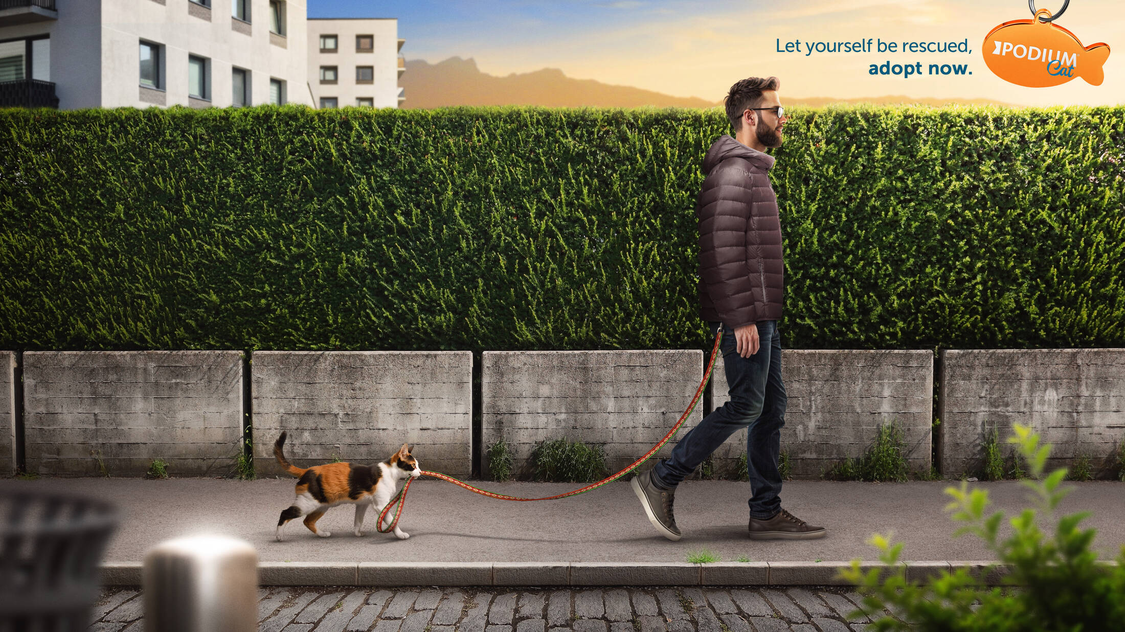 Let yourself be rescued, adopt now. • Ads of the World™ | Part of The ...