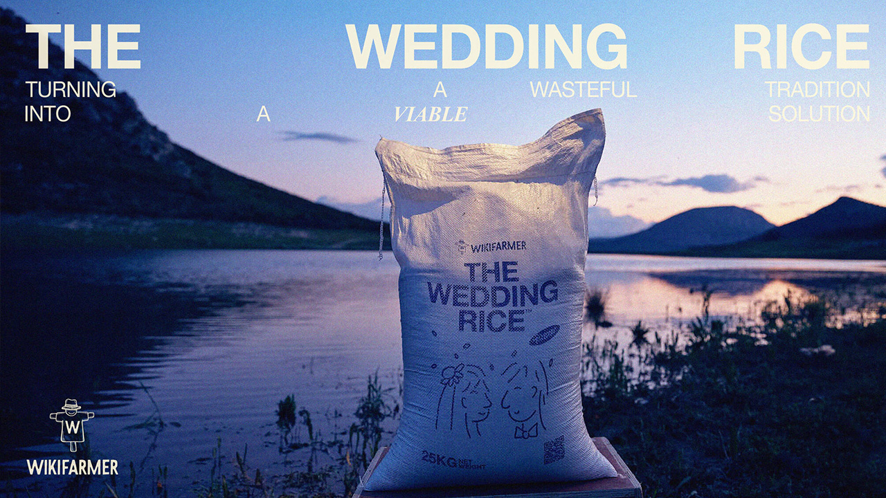 The Wedding Rice (case study) Image