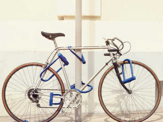 Bike, True Love, Warmth, Cat, Dog