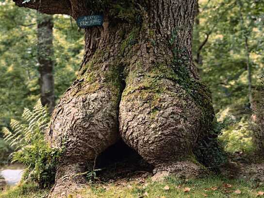 Colonoscopy Reminder